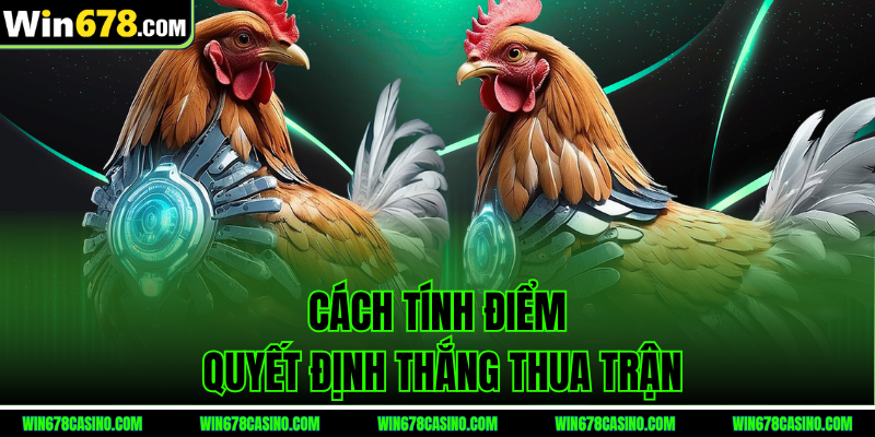 Cách tính điểm quyết định thắng thua đá gà tre c1