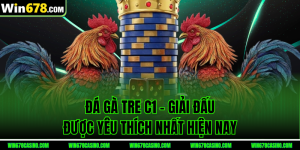 Đá Gà Tre C1 – Giải Đấu Được Yêu Thích Nhất Hiện Nay